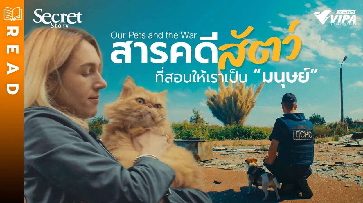 Related Article Thumbnail