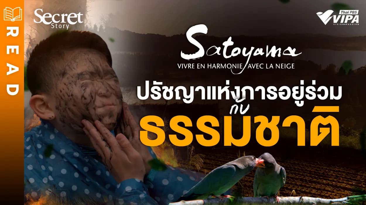 Related Article Thumbnail