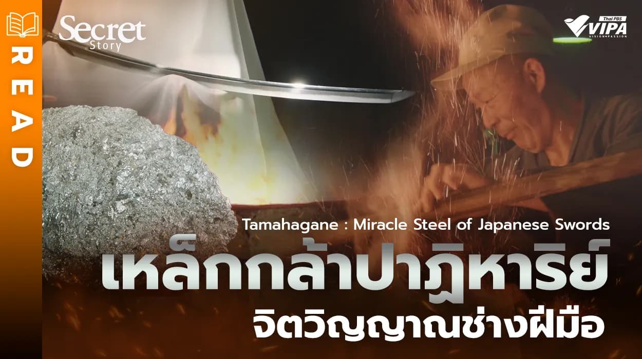 Related Article Thumbnail