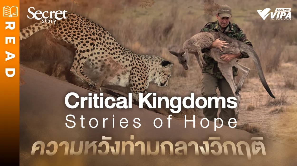 Related Article Thumbnail